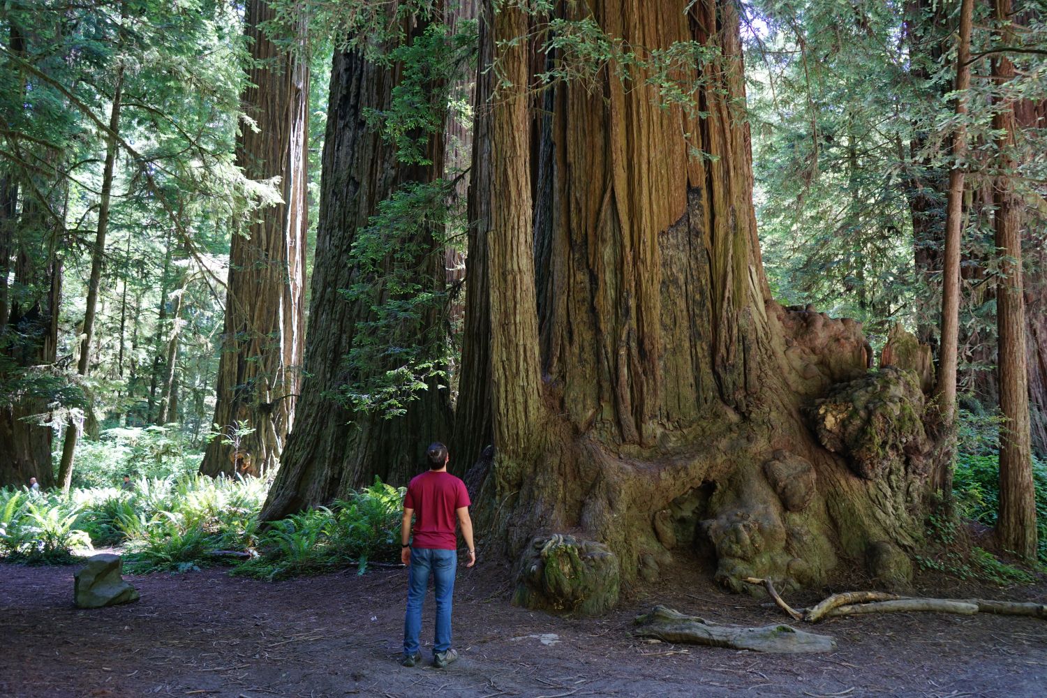 Standing before something greater — the beginning of clarity